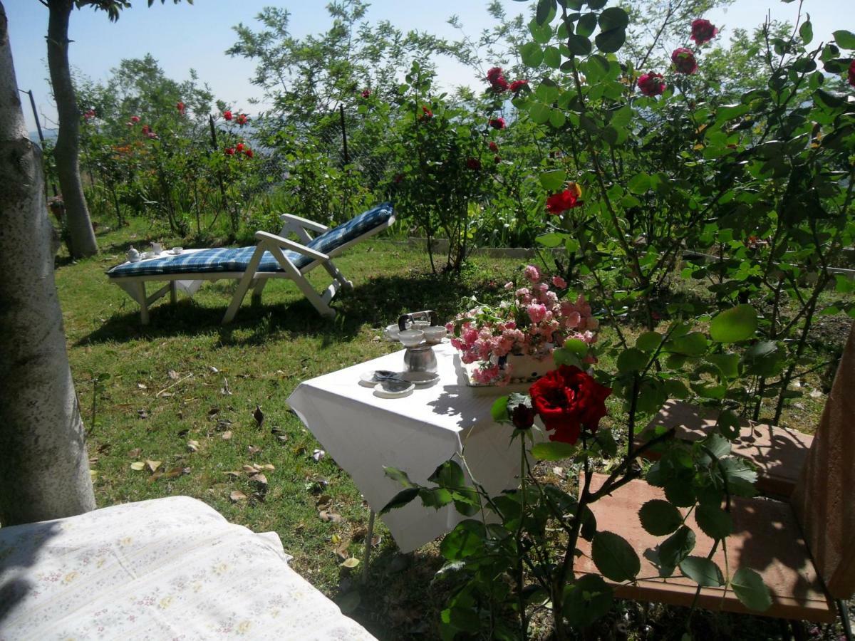 House With Stunning Views Vila Chiusdino Exterior foto